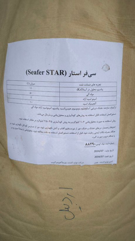 جلبک دریایی خارجی